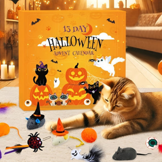 Calendario dell’Avvento Gatto